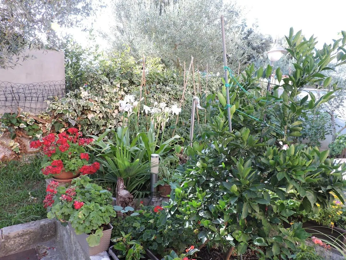 Berat Apartment Vodnjan Chorvatsko